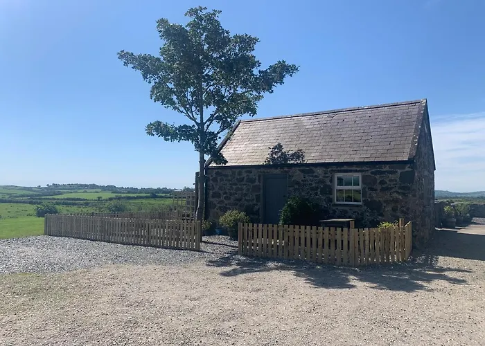 Rb Contractor Stays - Celyn